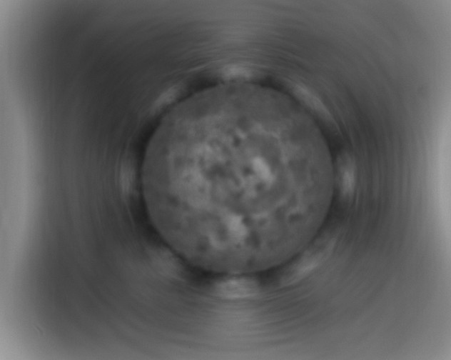 X0000113920619200910011513