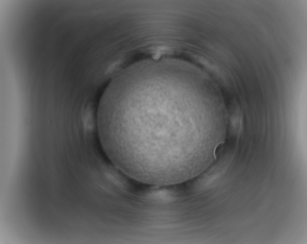 X0000113920620200910011513