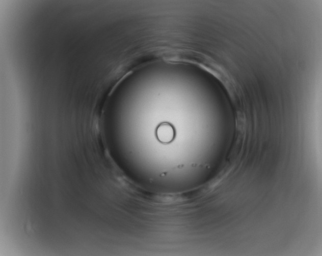 X0000113920621200910011513