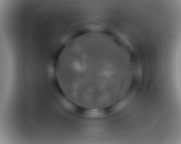 X0000113920622200910011513