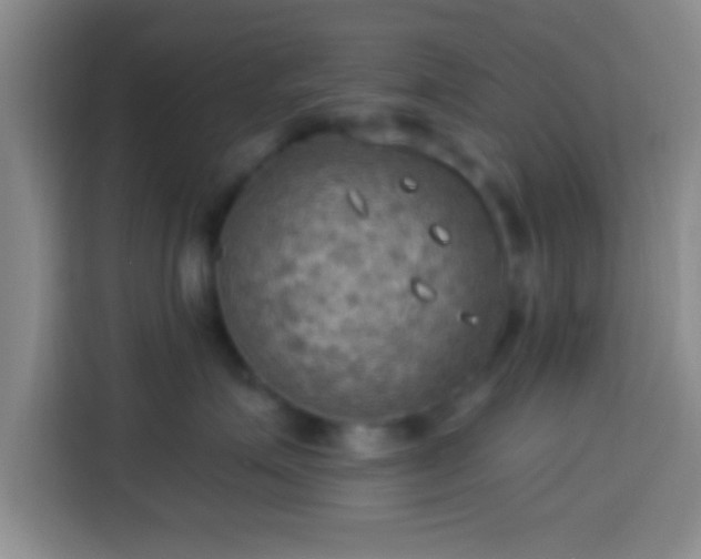 X0000113920623200910011513