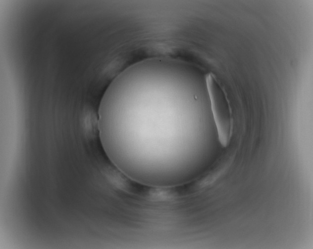 X0000113920624200910011513