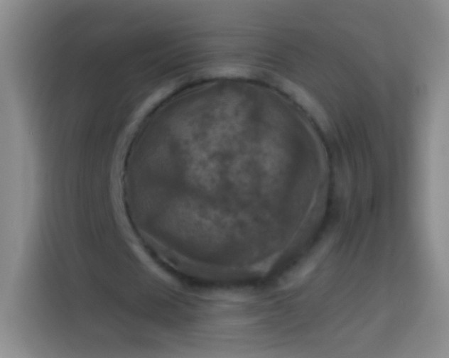 X0000113920625200910011512
