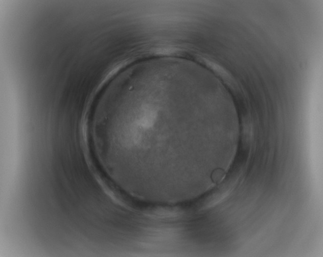 X0000113920626200910011512