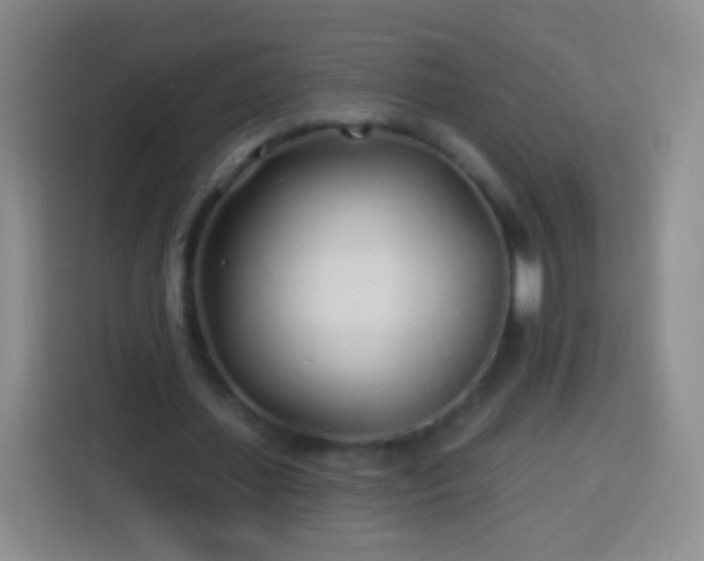X0000113920627200910011512