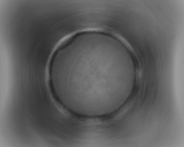 X0000113920628200910011513