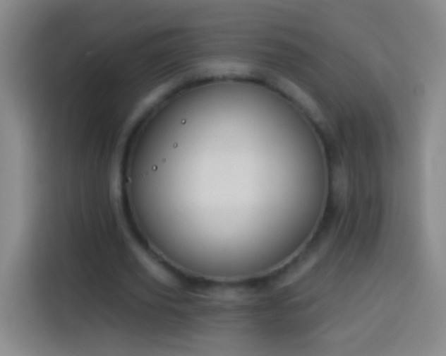 X0000113920629200910011513