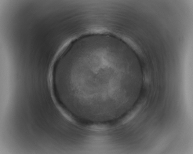 X0000113920630200910011513