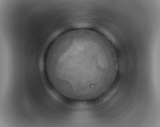 X0000113920631200910011513