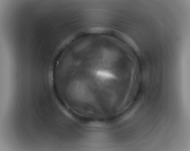 X0000113920633200910011513