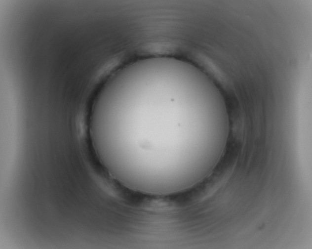 X0000113920635200910011513
