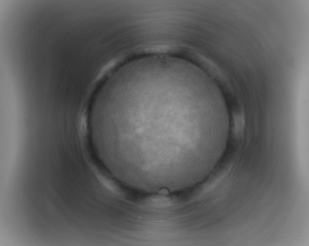 X0000113920636200910011513