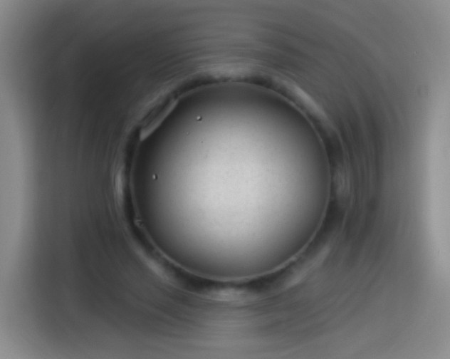 X0000113920637200910011513