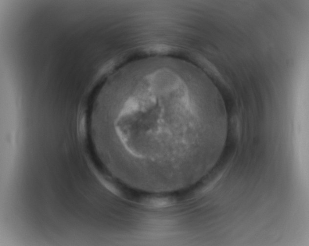 X0000113920638200910011513