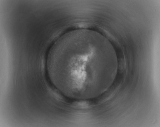 X0000113920639200910011513