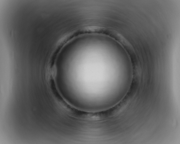 X0000113920640200910011513