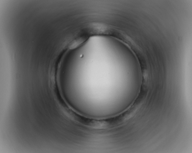 X0000113920642200910011513