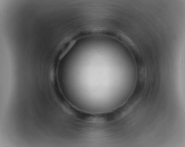 X0000113920644200910011513