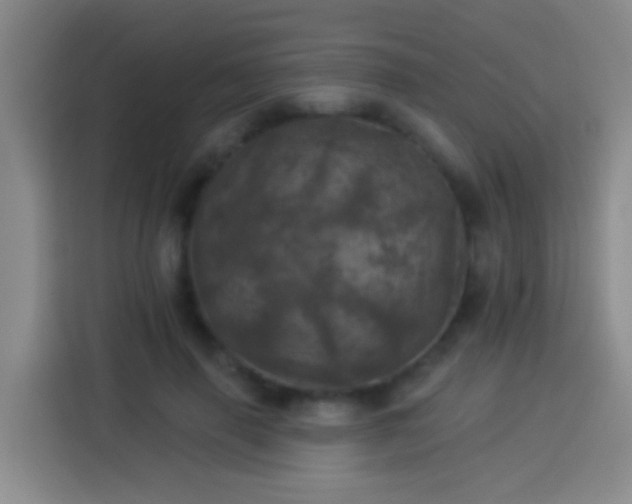 X0000113920645200910011513