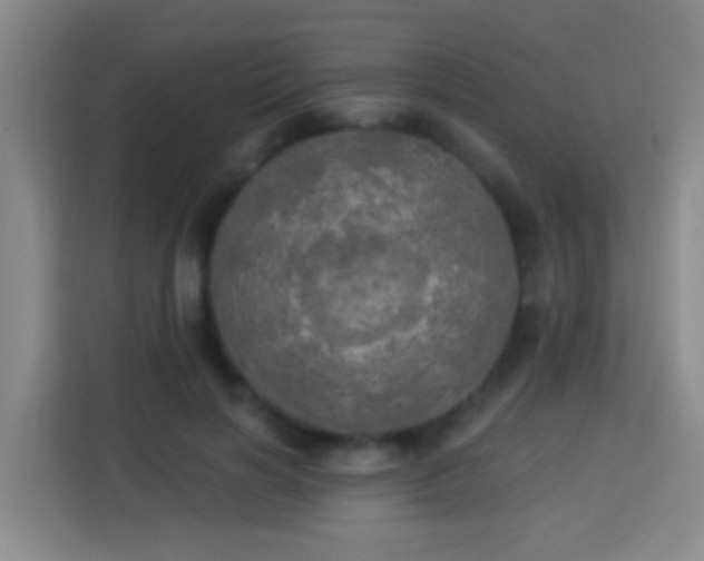 X0000113920646200910011513