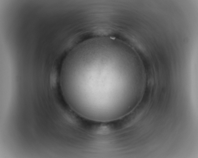 X0000113920647200910011513