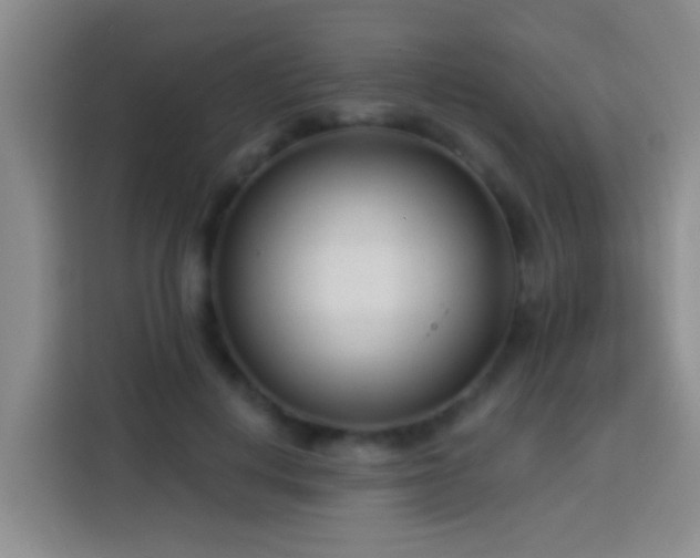X0000113920648200910011513