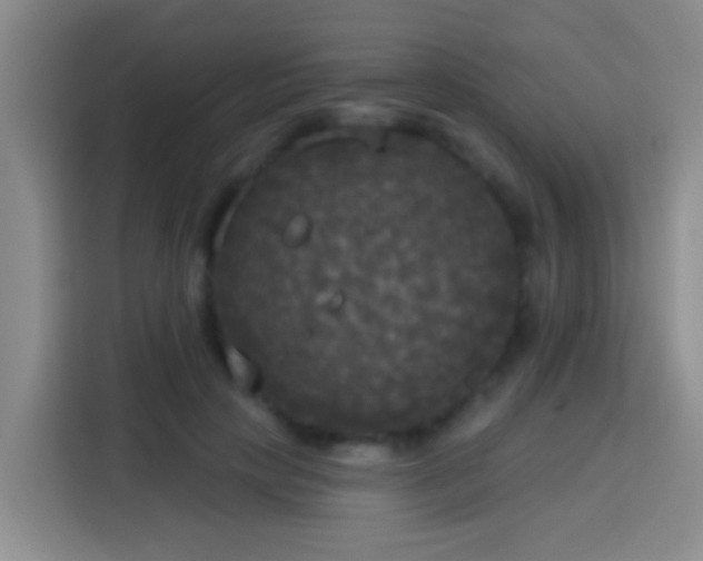 X0000113920649200910011513