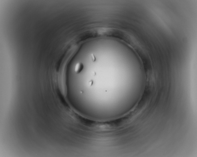 X0000113920650200910011513