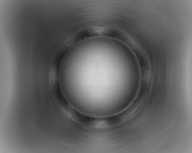 X0000113920651200910011513