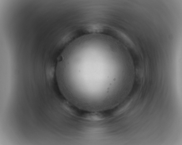 X0000113920652200910011513