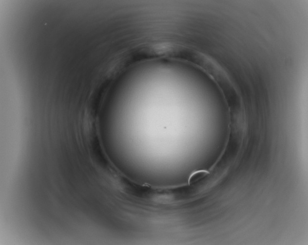 X0000113920653200910011513