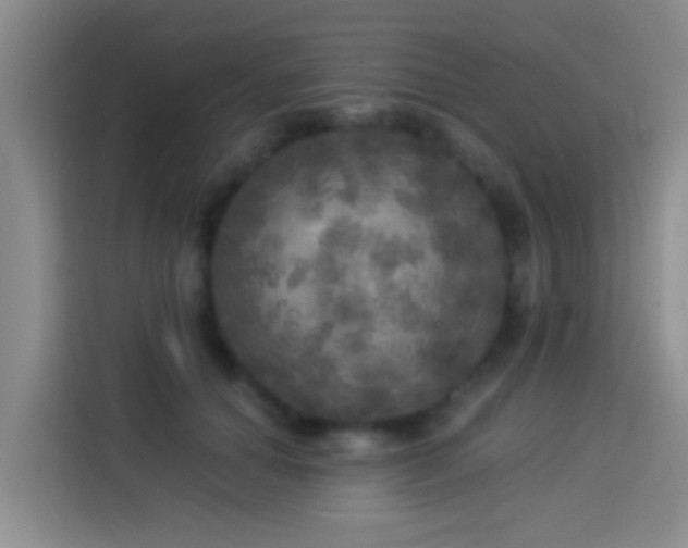 X0000113920654200910011513