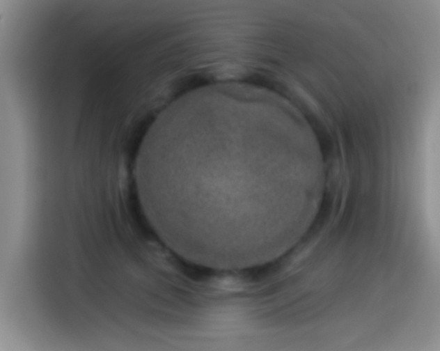 X0000113920655200910011513
