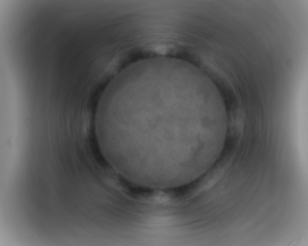 X0000113920656200910011513
