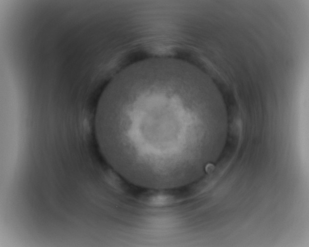 X0000113920658200910011513