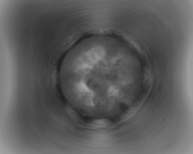 X0000113920659200910011513