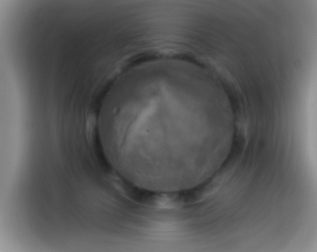 X0000113920660200910011513