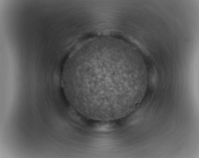 X0000113920661200910011513