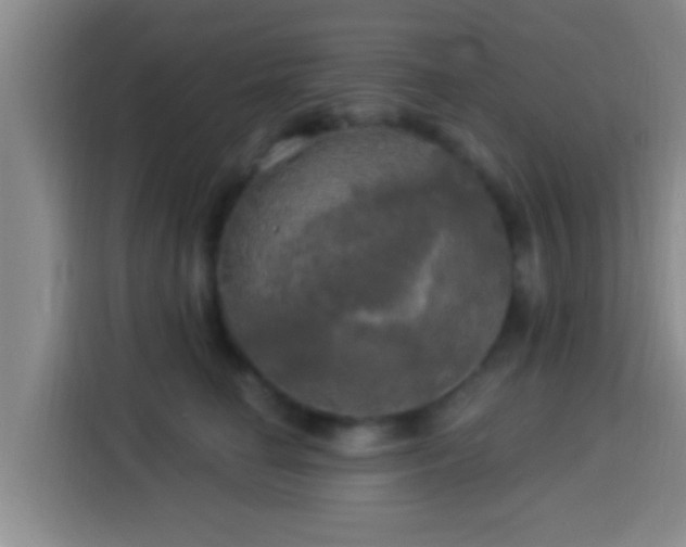 X0000113920662200910011513