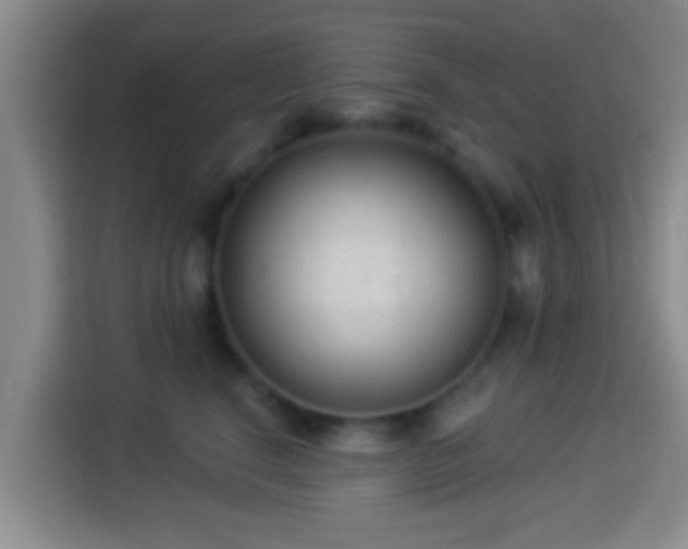 X0000113920664200910011513