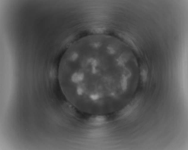 X0000113920665200910011513
