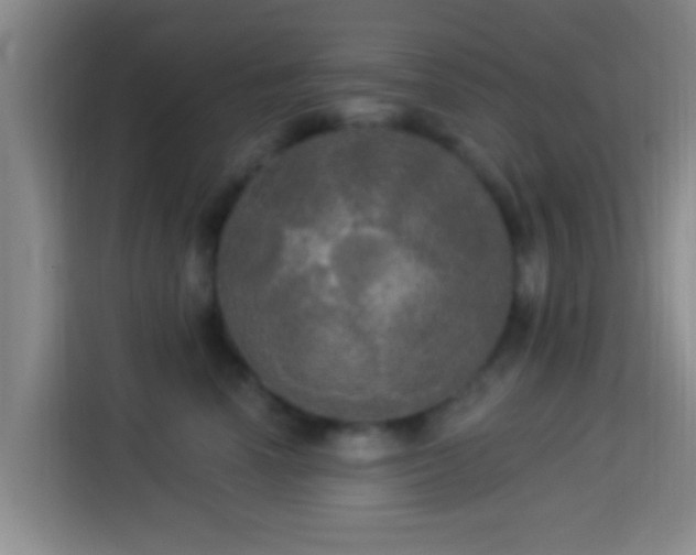 X0000113920666200910011513