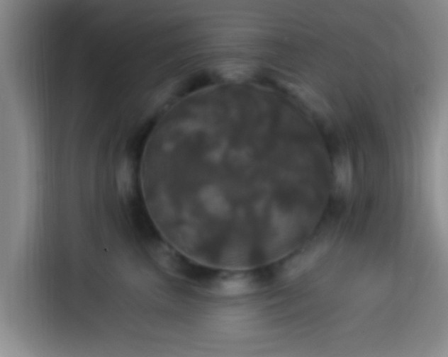 X0000113920667200910011513