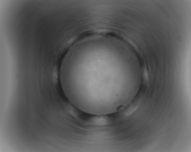 X0000113920668200910011513