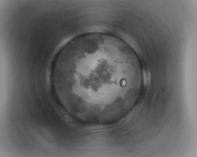 X0000113920675200910011512