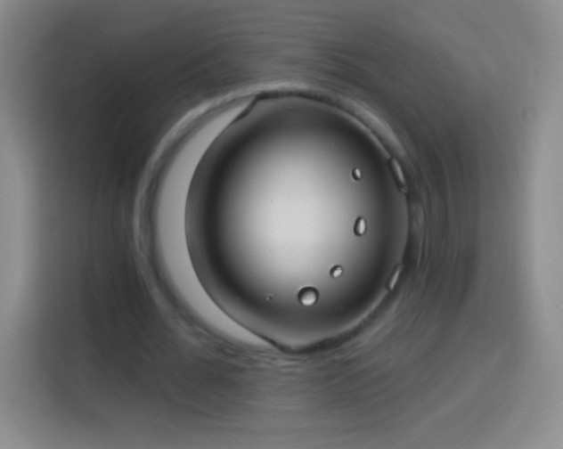 X0000113920676200910011512