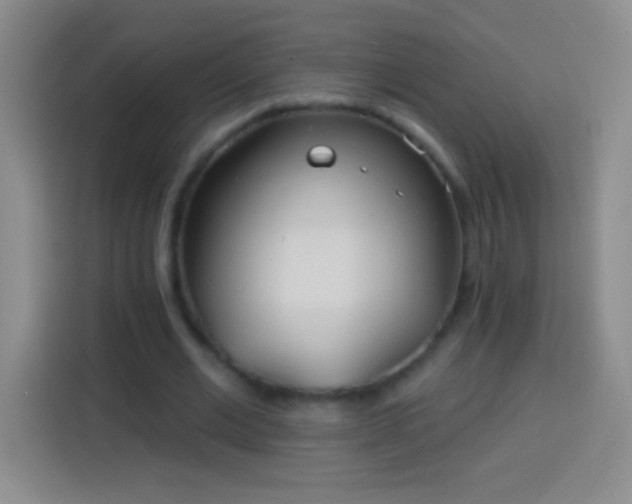 X0000113920677200910011512