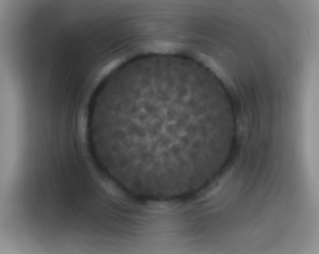 X0000113920679200910011512