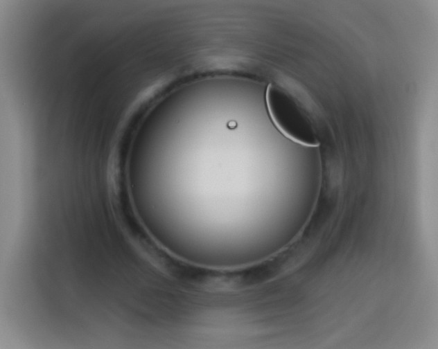 X0000113920680200910011512