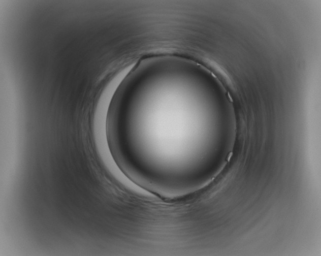 X0000113920681200910011512